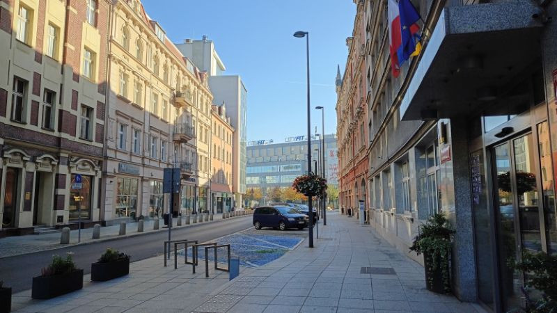 Диви прасета превзеха Катовице, майки с прасенца обръщат кофите за боклук